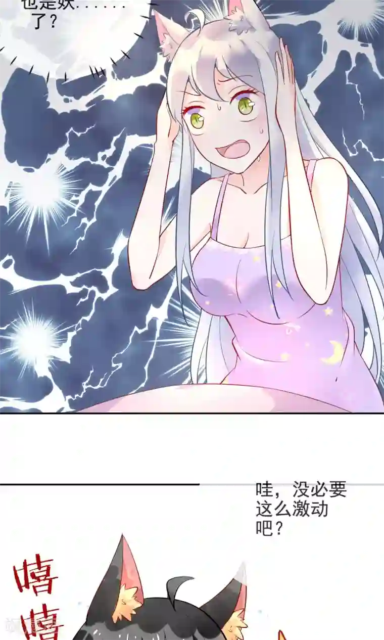 妖怪法则第3话 兽娘你好萌