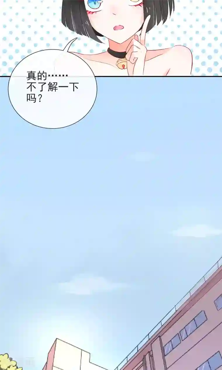 妖怪法则第3话 兽娘你好萌