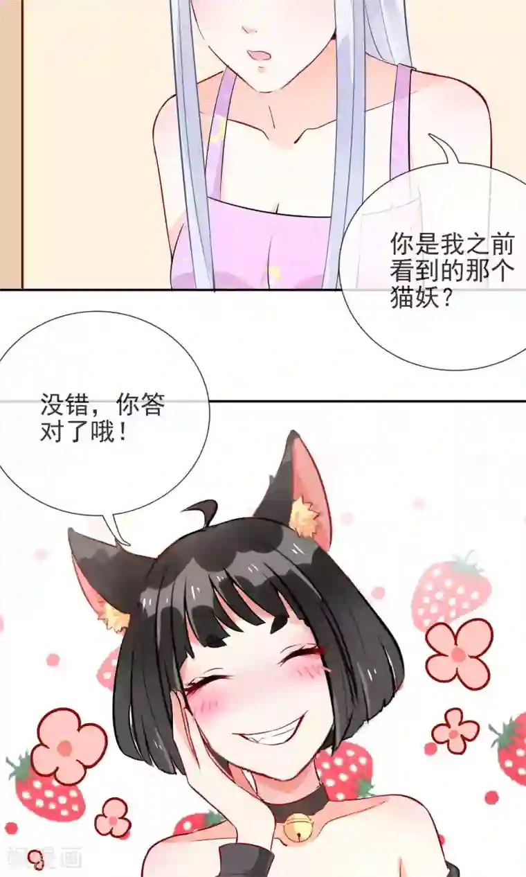 妖怪法则第3话 兽娘你好萌