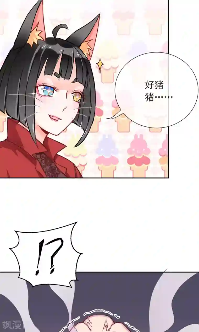 妖怪法则第6话 猪蹄请放手