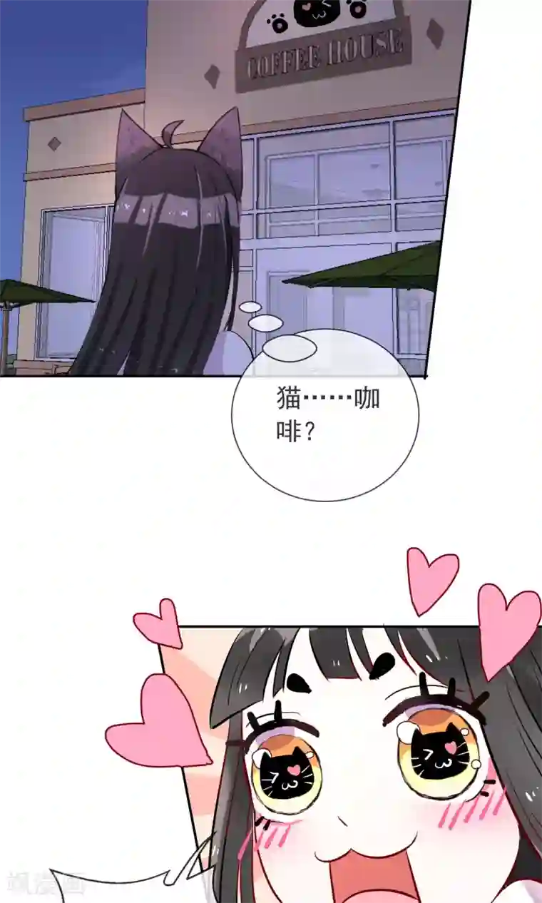 妖怪法则第24话 猫咖啡