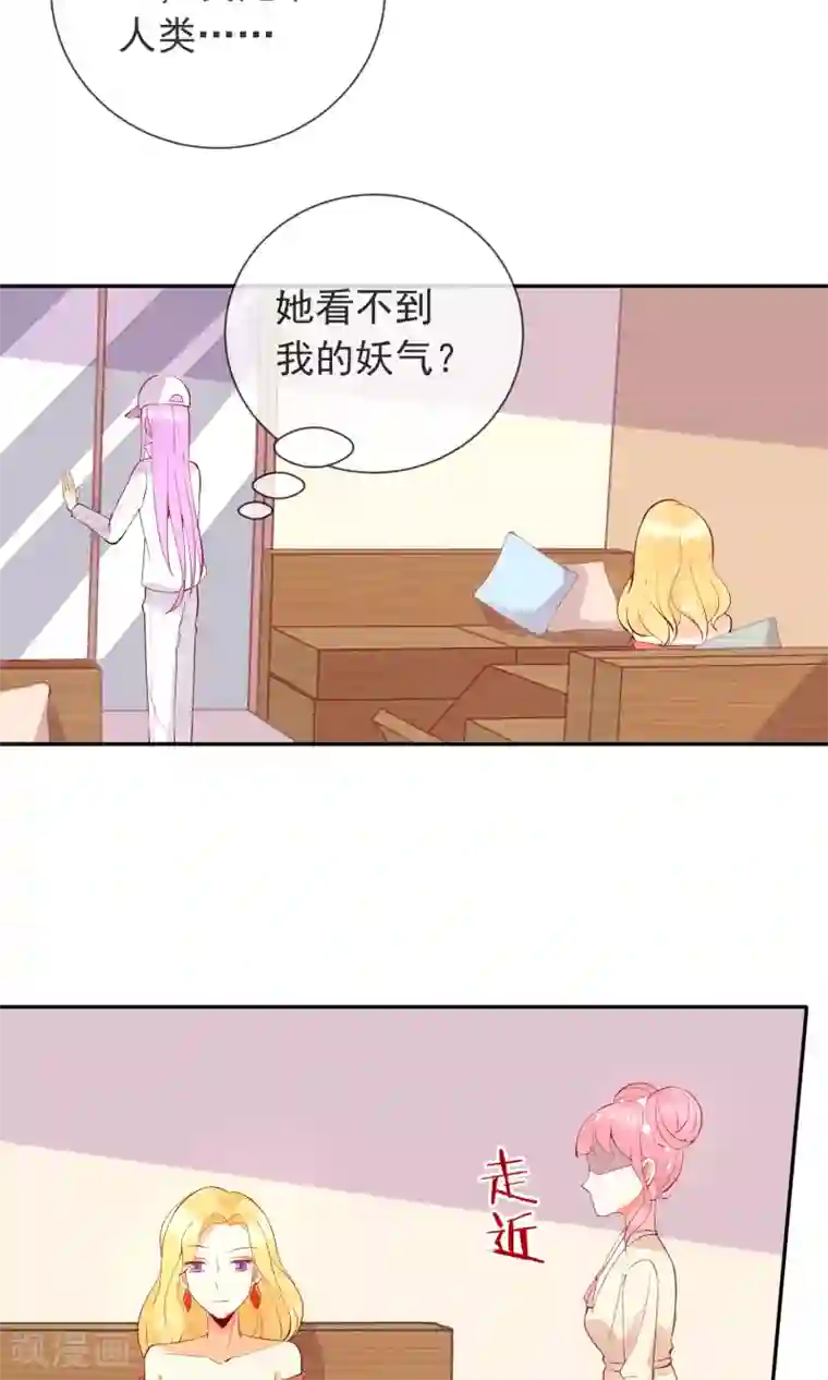 妖怪法则第24话 猫咖啡