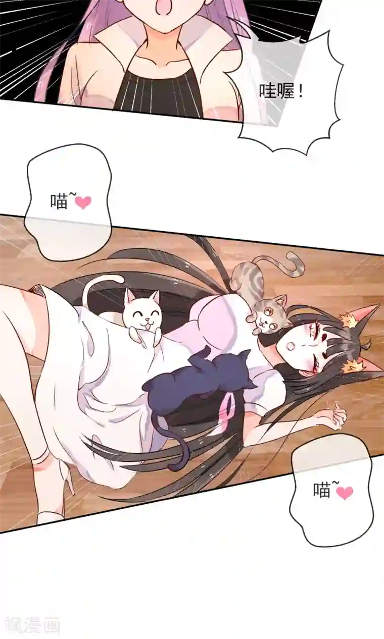 妖怪法则第24话 猫咖啡