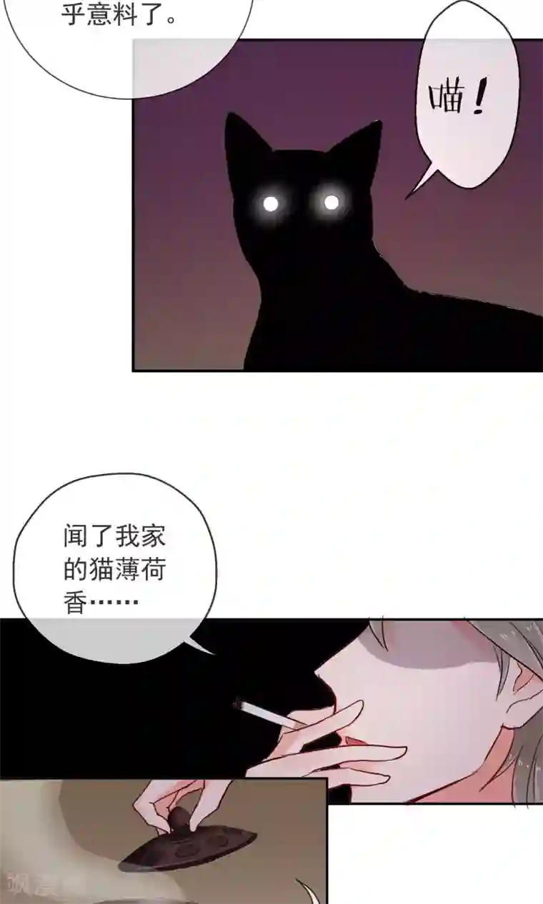 妖怪法则第25话 猫薄荷香