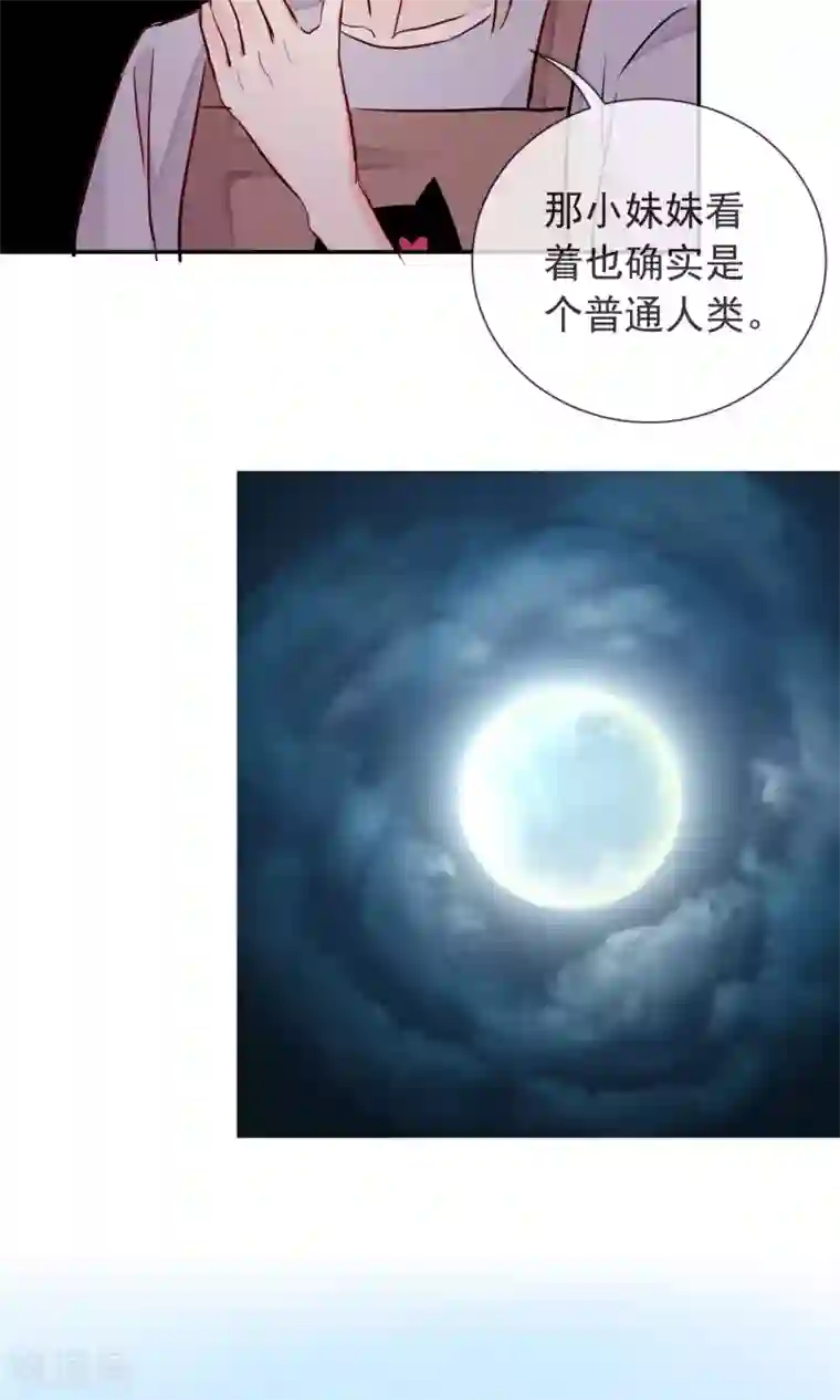 妖怪法则第25话 猫薄荷香