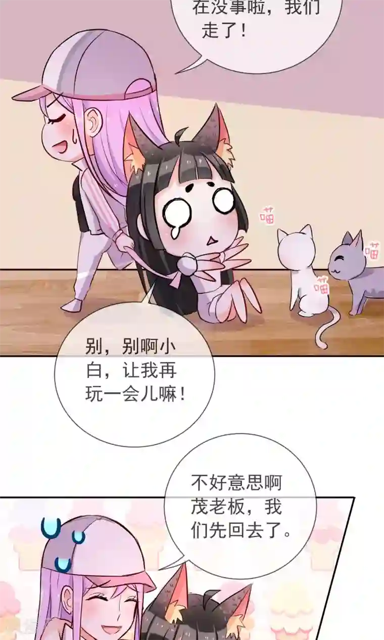 妖怪法则第25话 猫薄荷香