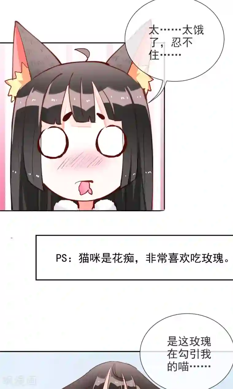 妖怪法则第42话 三人约会