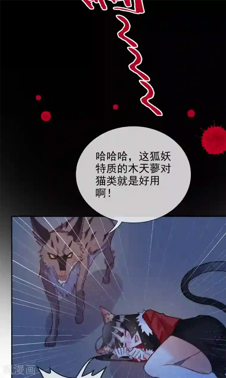 妖怪法则第45话 等我回来！