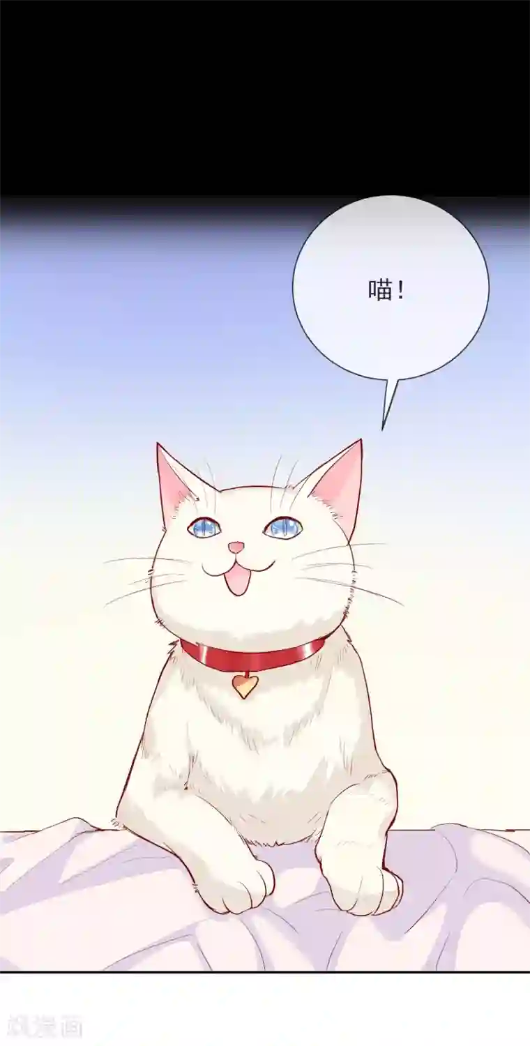 妖怪法则第65话 态度转变了