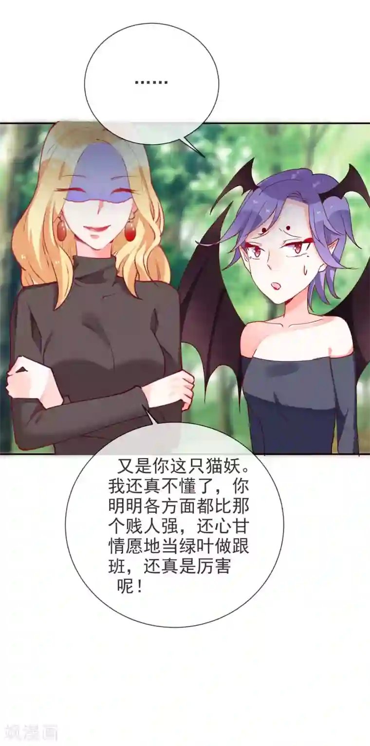 妖怪法则第71话 狐狸VS猫