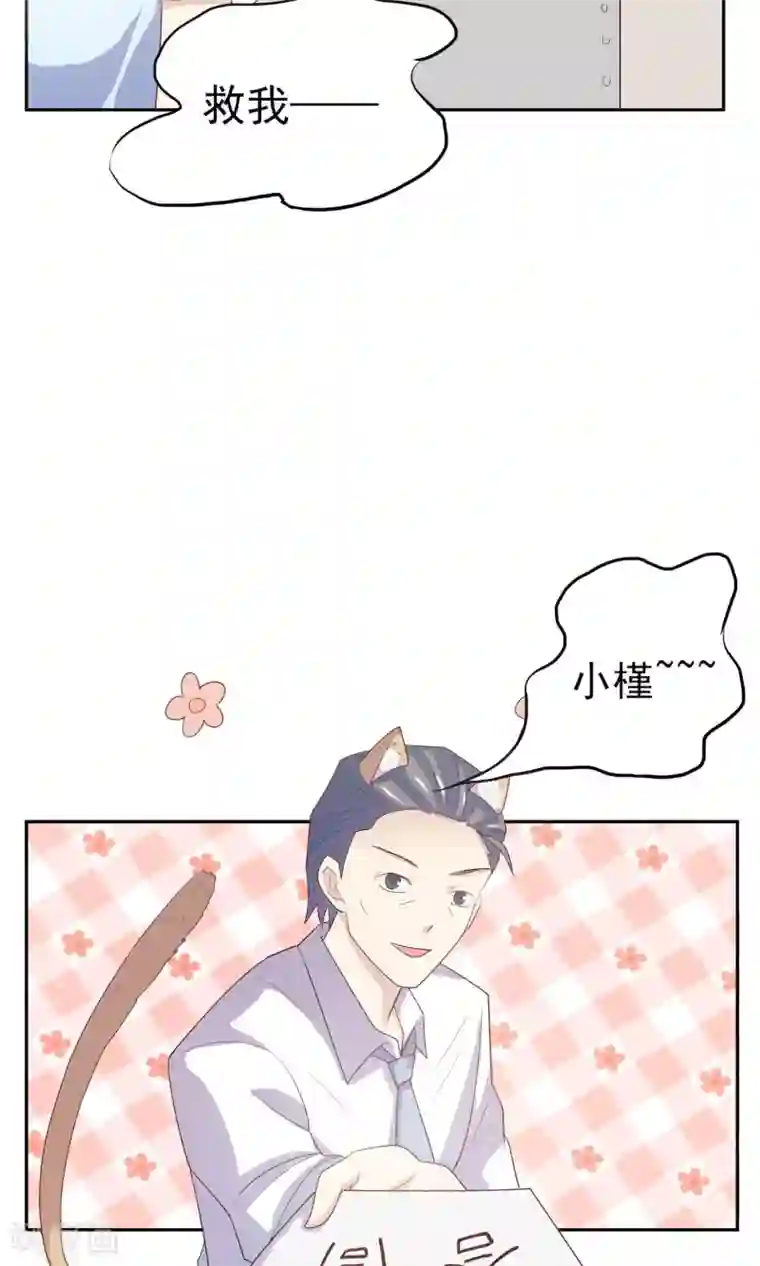 淑女进化论第4话 爸爸去哪儿了