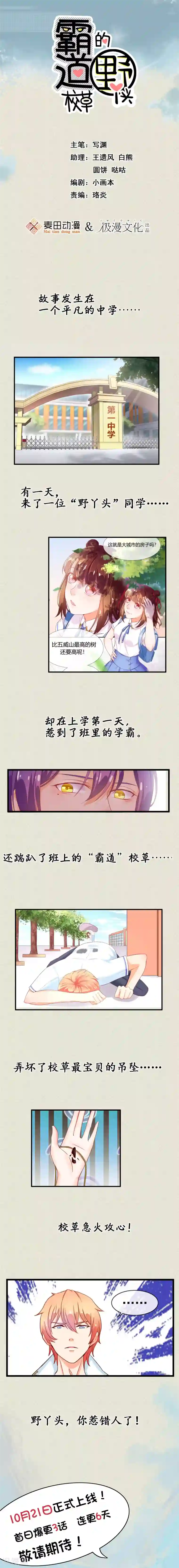 霸道校草的野丫头预告