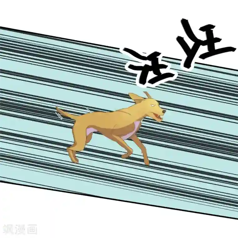 霸道校草的野丫头第8话 叫你明明