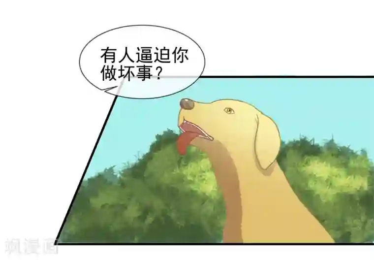 霸道校草的野丫头第8话 叫你明明