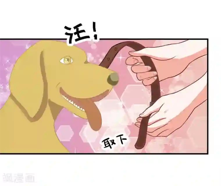 霸道校草的野丫头第9话 针锋相对的两人