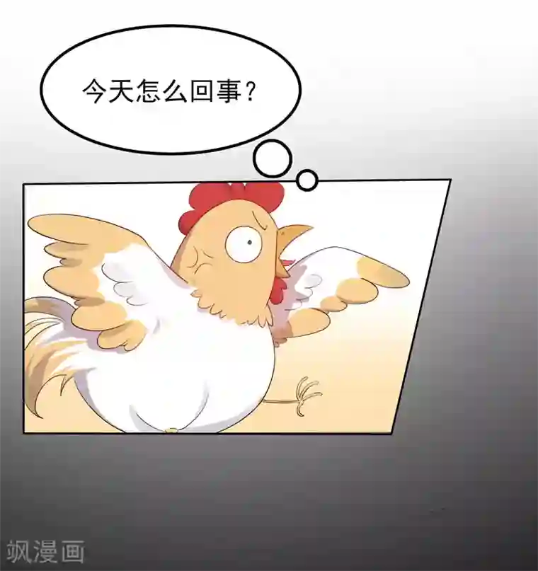 天才双宝：傲娇前妻抱回家第3话 再次相遇