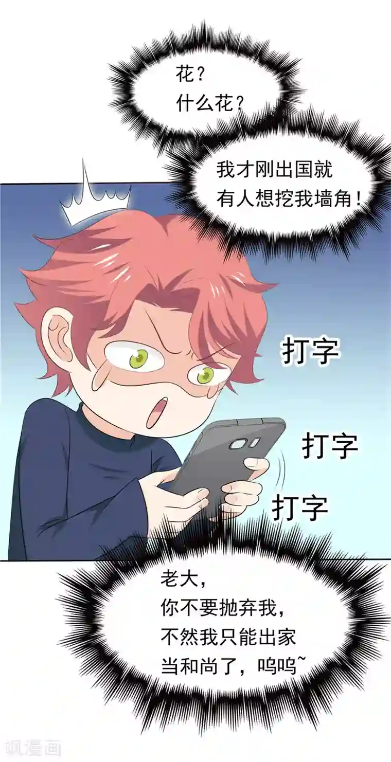 天才双宝：傲娇前妻抱回家第36话 神秘的花