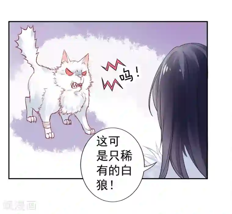 凰妃九千岁第18话 高呼吾名——杨巅峰