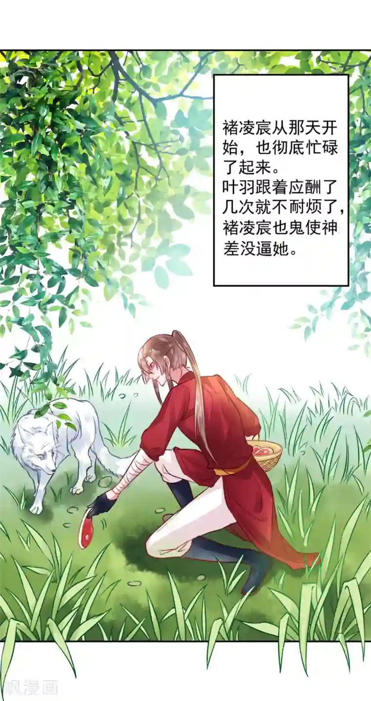 凰妃九千岁第24话 咱家的心头好