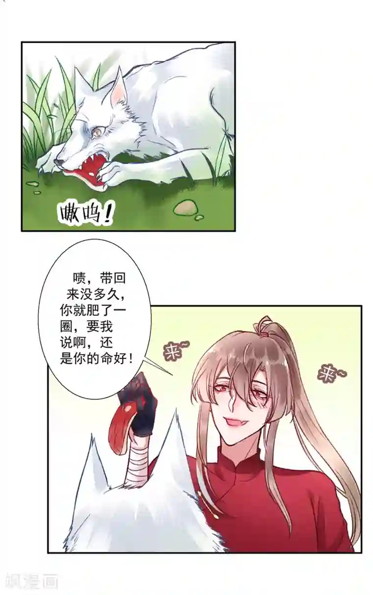 凰妃九千岁第24话 咱家的心头好