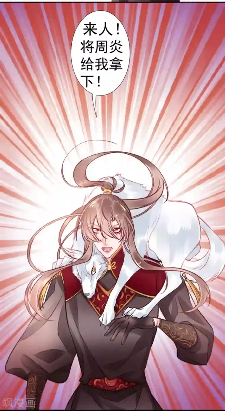 凰妃九千岁第35话 殿前司是做什么的