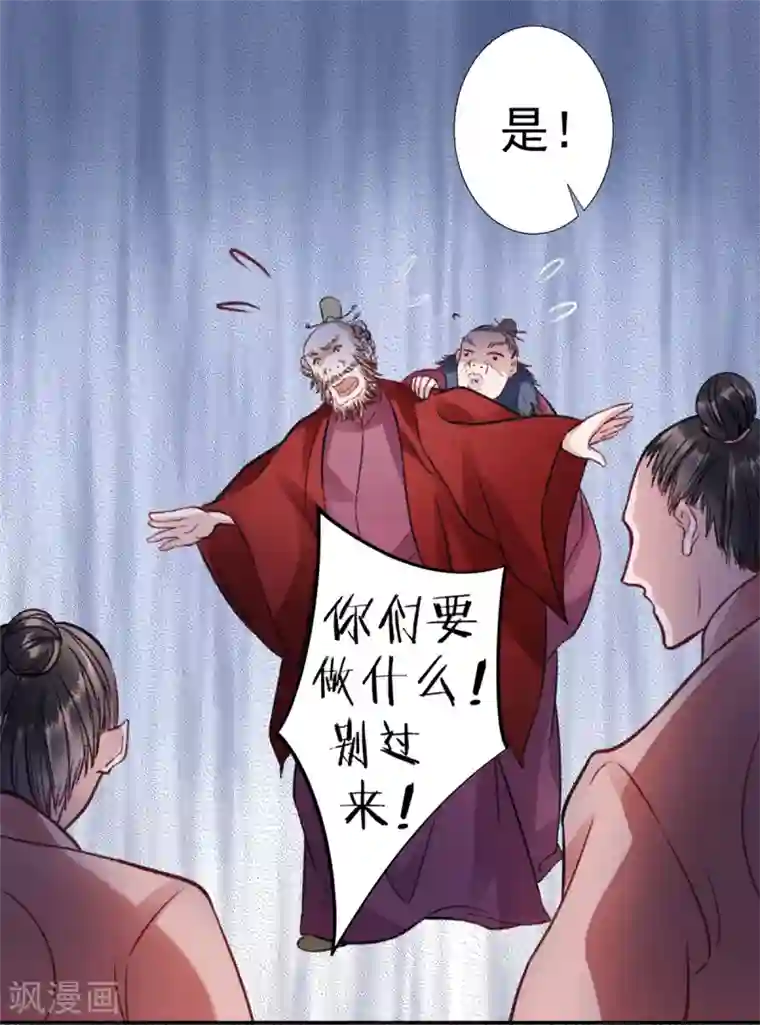 凰妃九千岁第35话 殿前司是做什么的