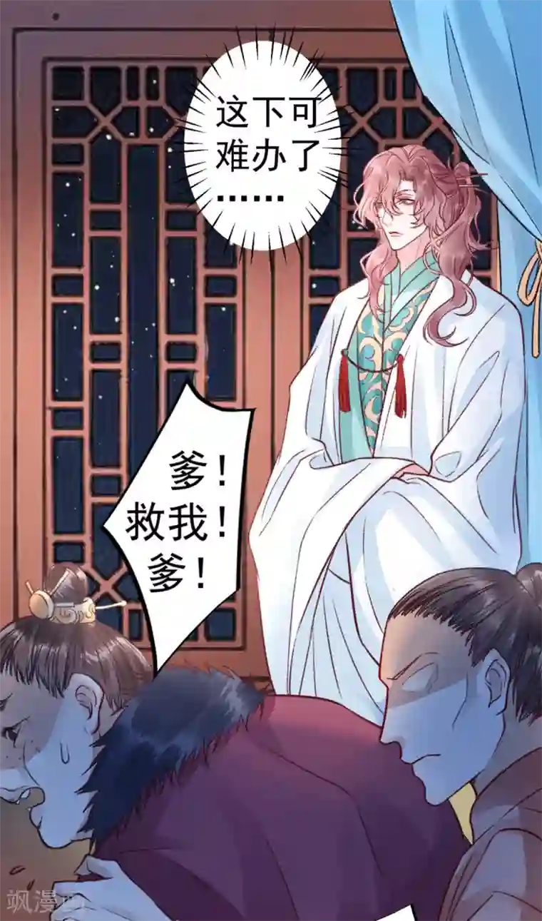 凰妃九千岁第35话 殿前司是做什么的