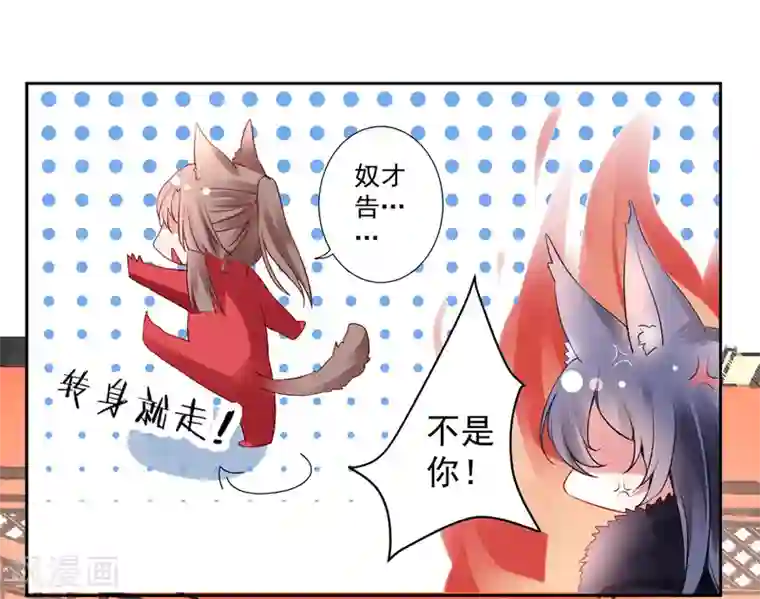 凰妃九千岁第40话 将军您也太实在了！