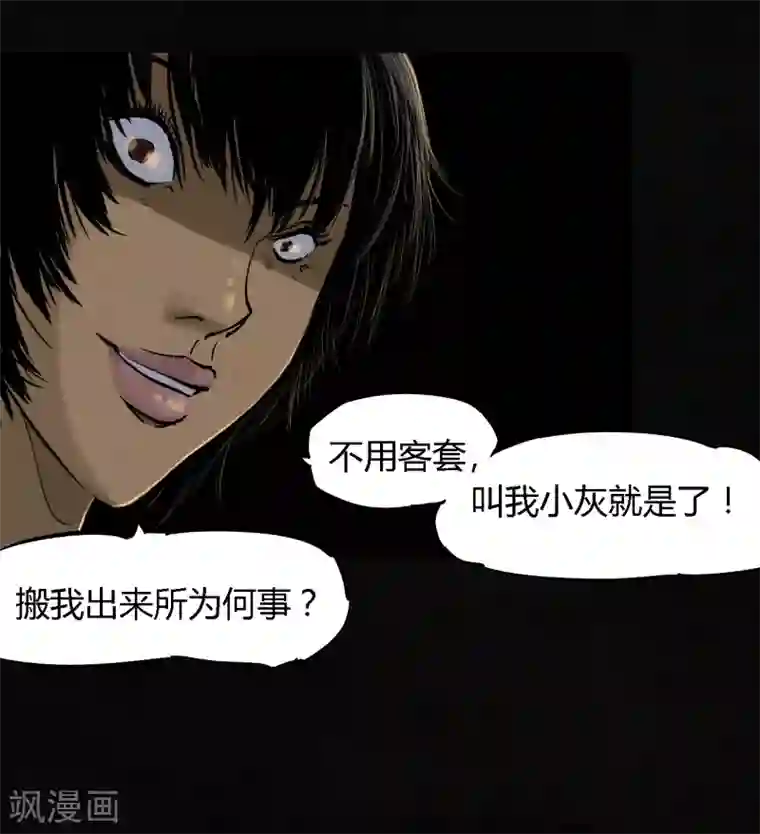 成都1995第43话 胡黄白柳灰