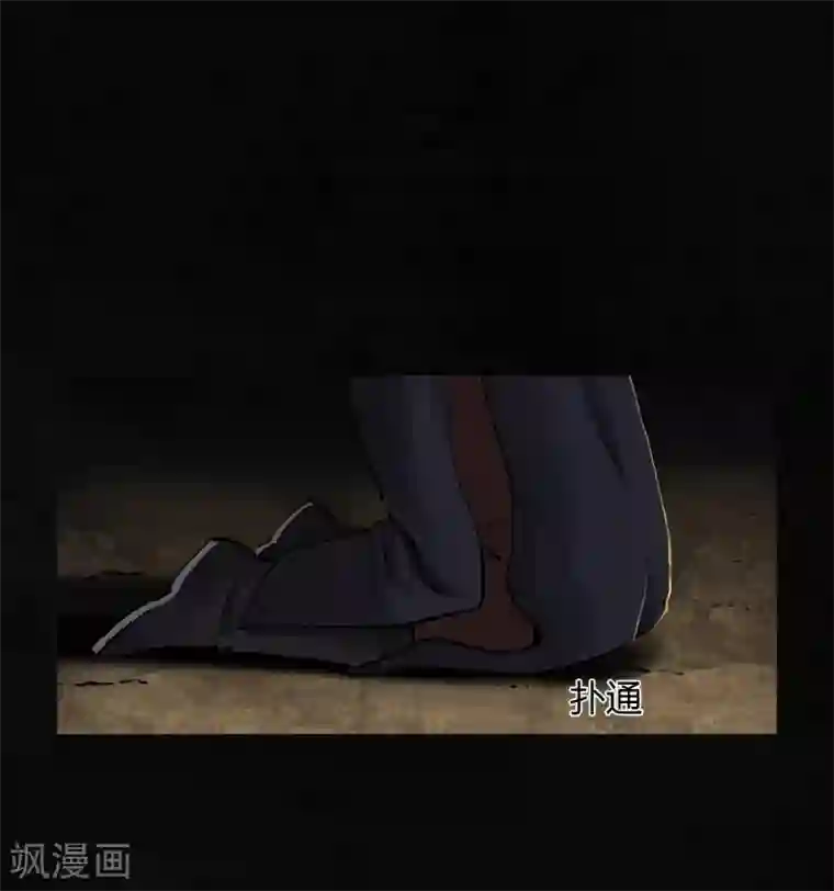 成都1995第43话 胡黄白柳灰