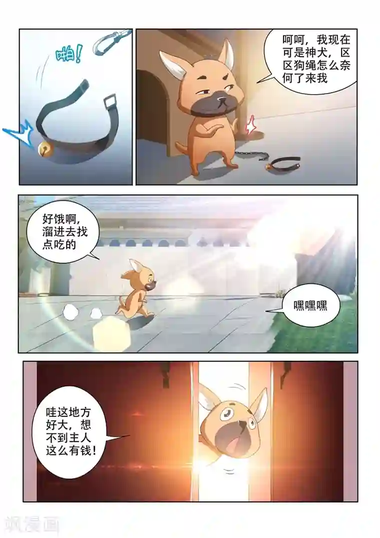 我的微信连三界第70话 我的狗价值500万