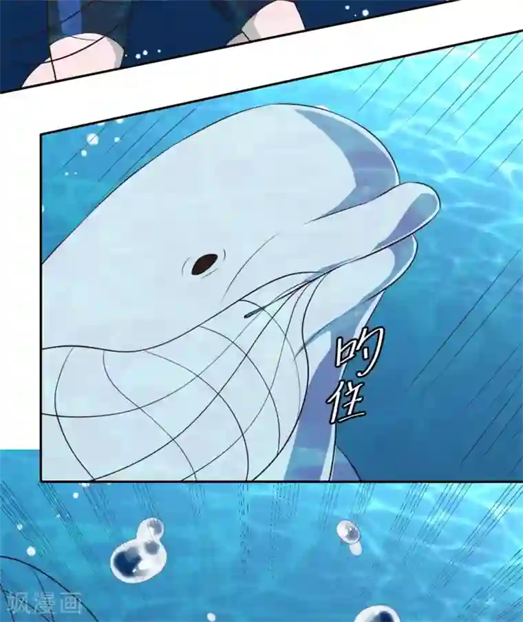 神级渔夫第30话 不是不报