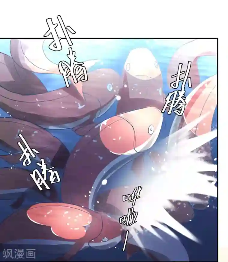 神级渔夫第2话 浒苔饲料