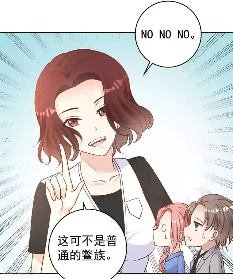 神级渔夫第21话 神秘斑鳖