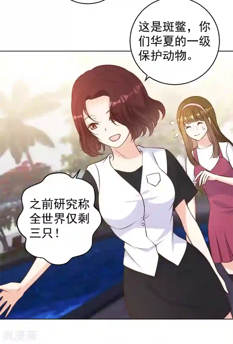 神级渔夫第21话 神秘斑鳖