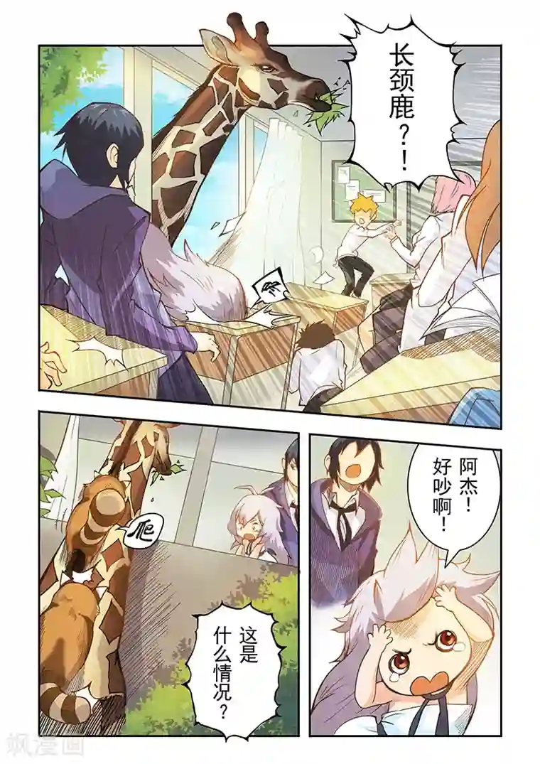 最后的召唤师第3话1 喵呜！独立日！