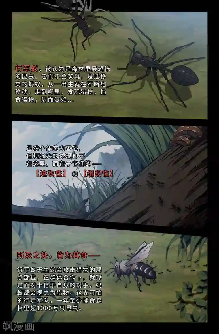 史上最强第53话 忧虑