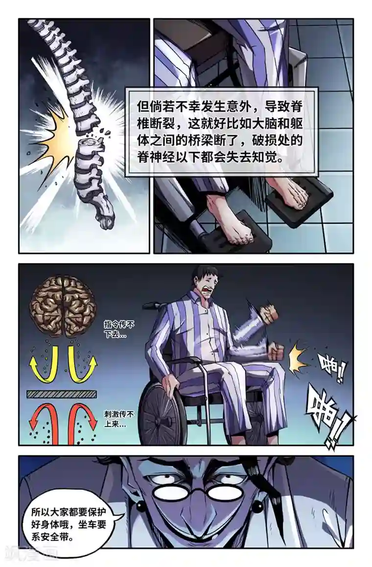 史上最强第70话 神经系统