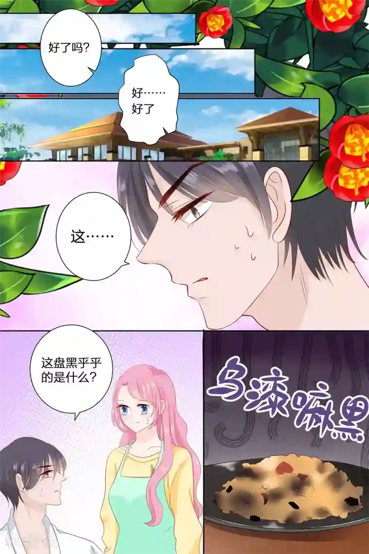 帝少的独宠计划第82话 做菜