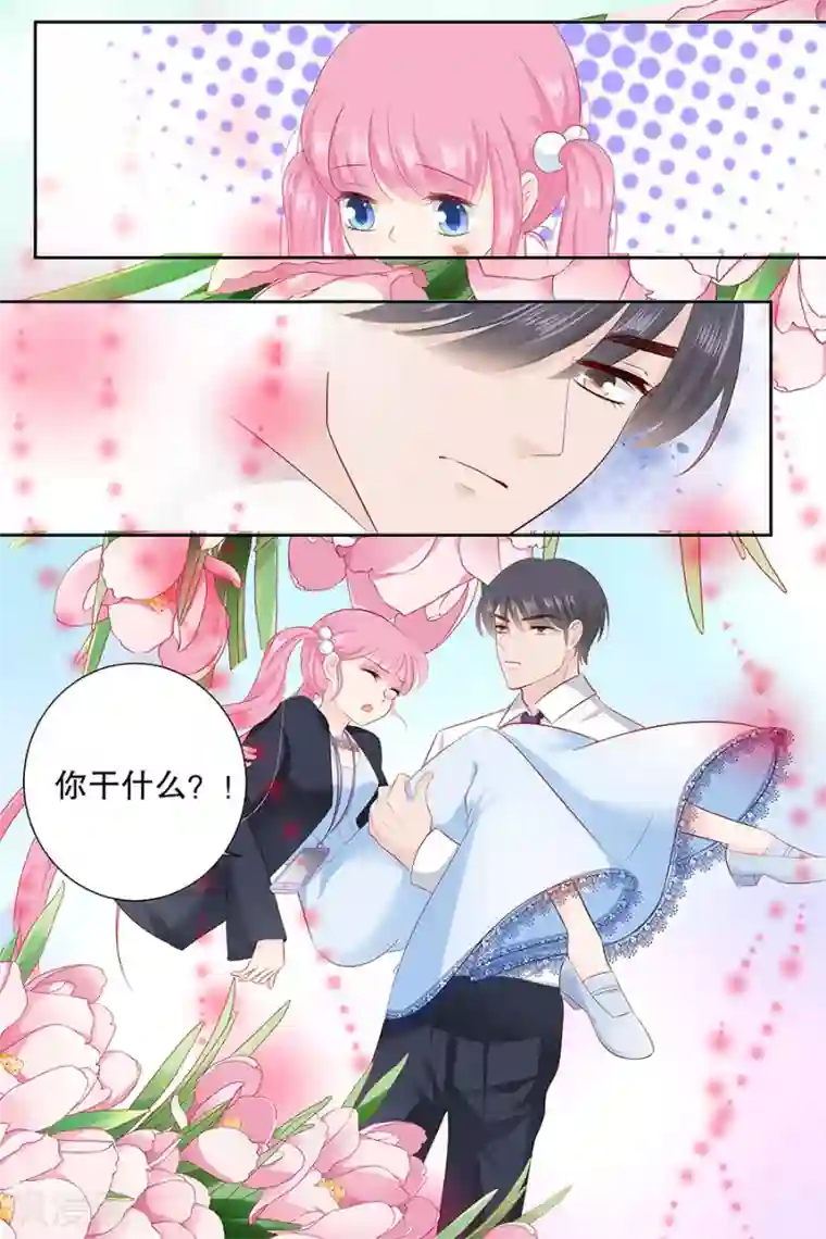 帝少的独宠计划第88话 笨女人