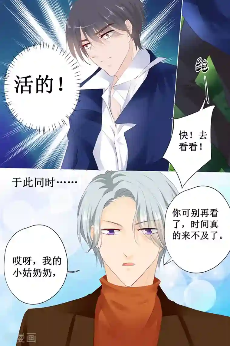 帝少的独宠计划第127话 精灵女孩