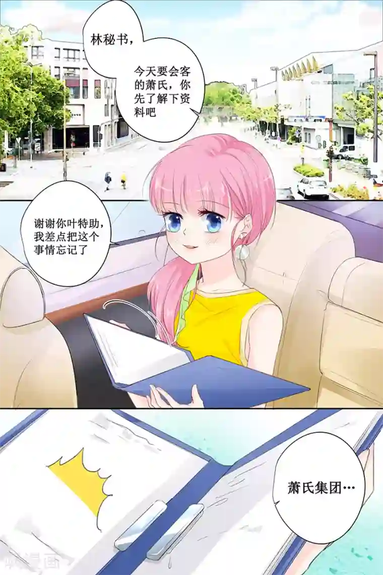 帝少的独宠计划第144话 萧氏集团？