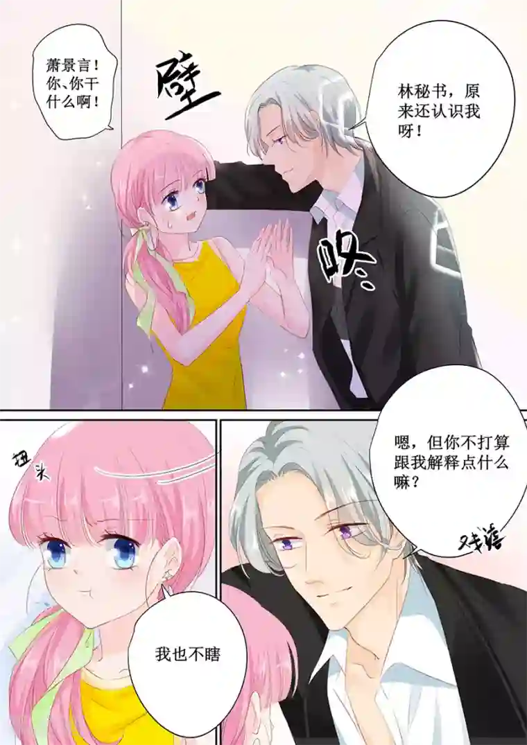 帝少的独宠计划第148话 这女人我喜欢