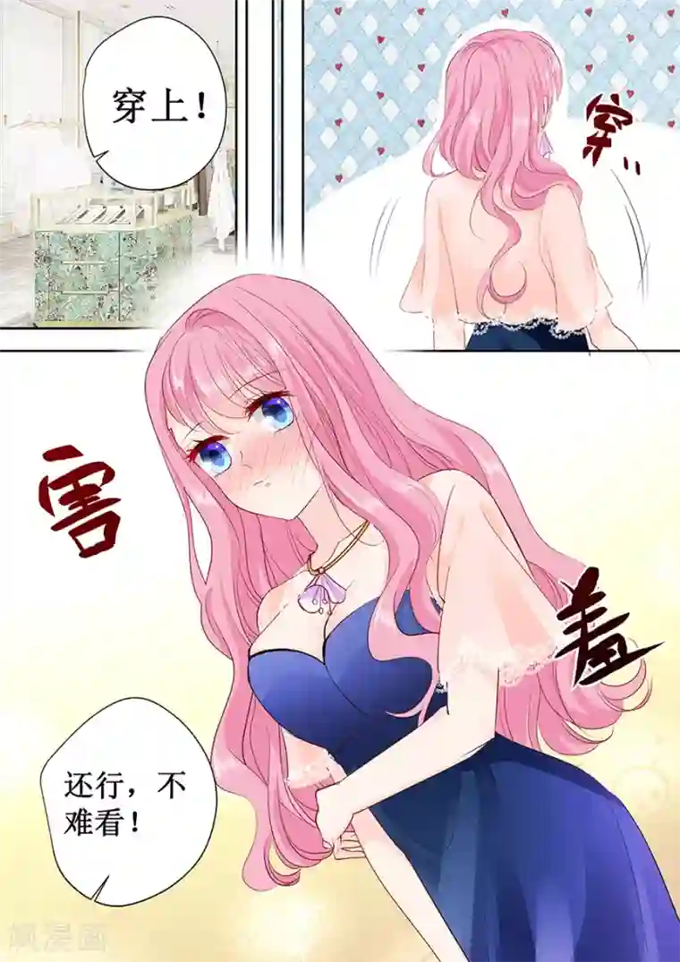 帝少的独宠计划第168话 宴会