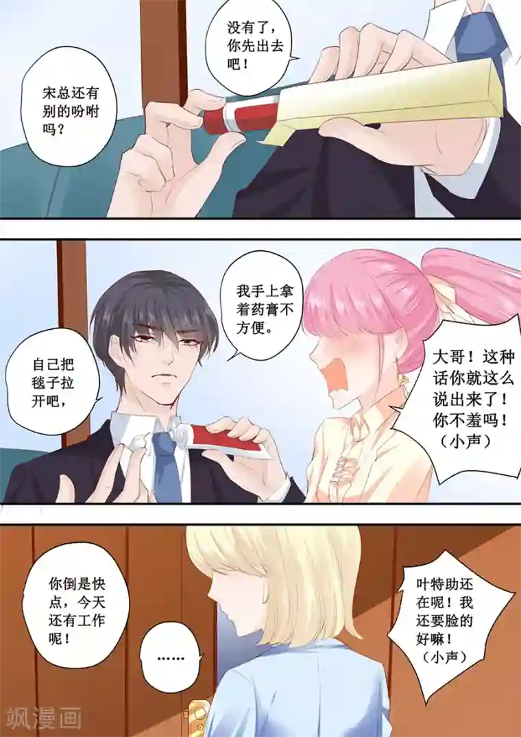 帝少的独宠计划第189话 视频会议