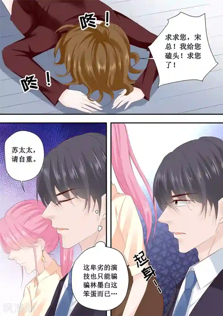 帝少的独宠计划第194话 请放过苏家吧