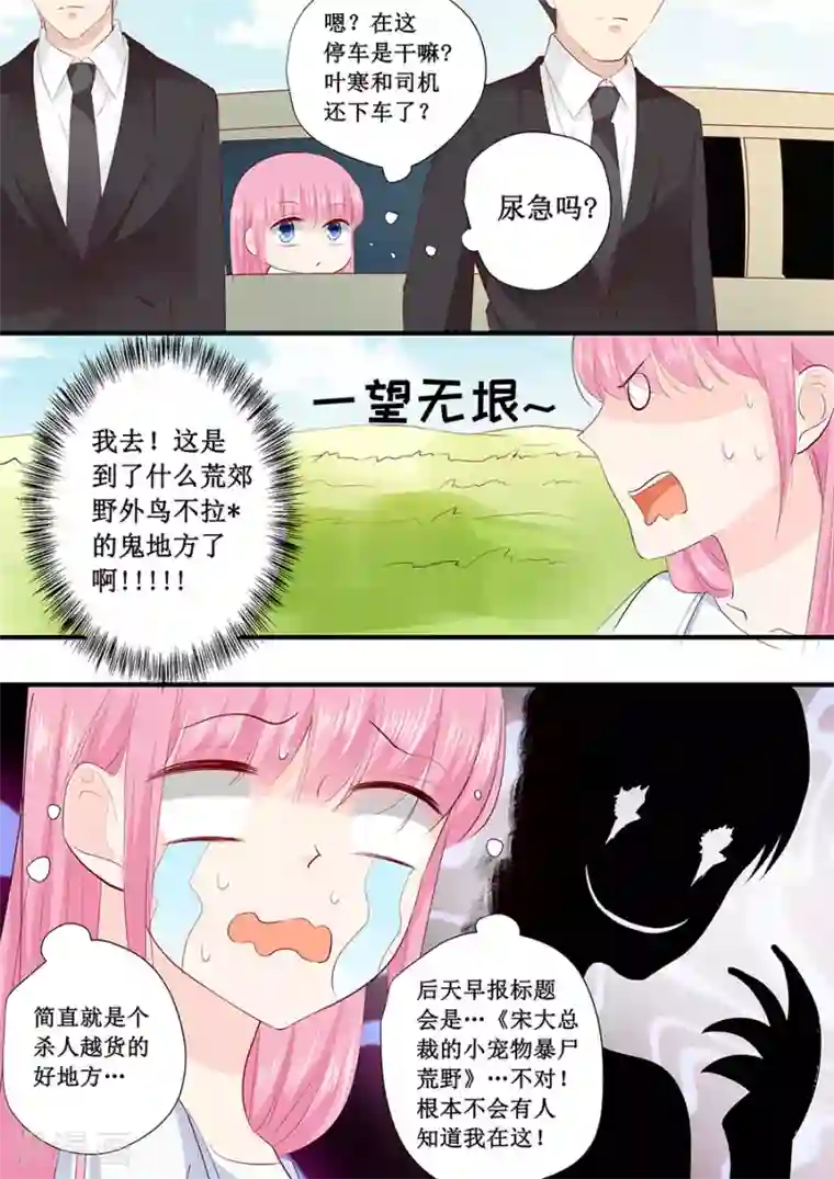 帝少的独宠计划第219话 想离开我？