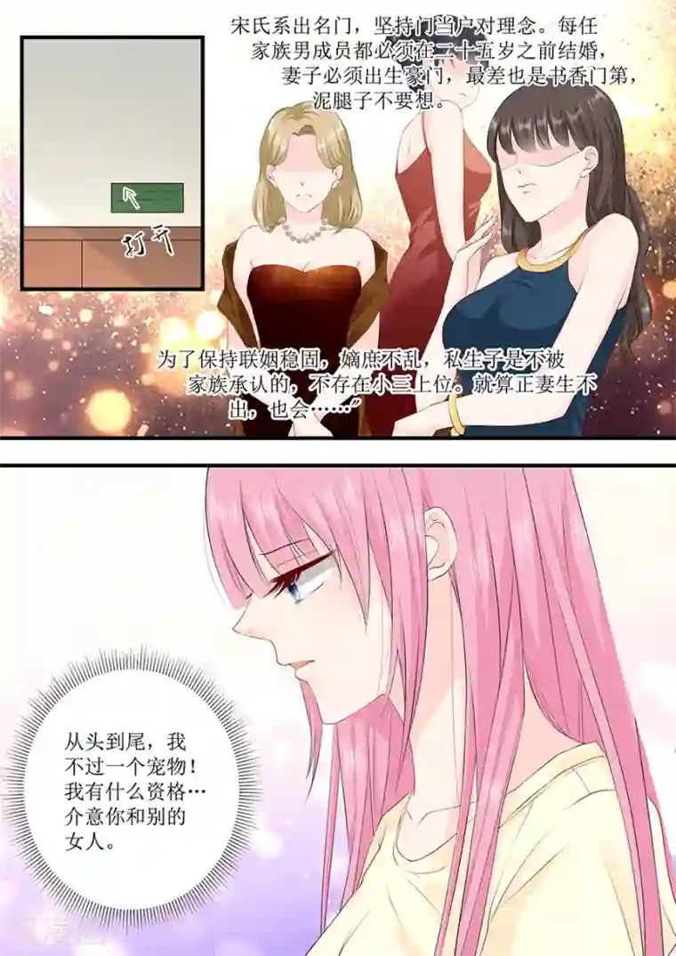 帝少的独宠计划第233话 宋氏家族的婚姻