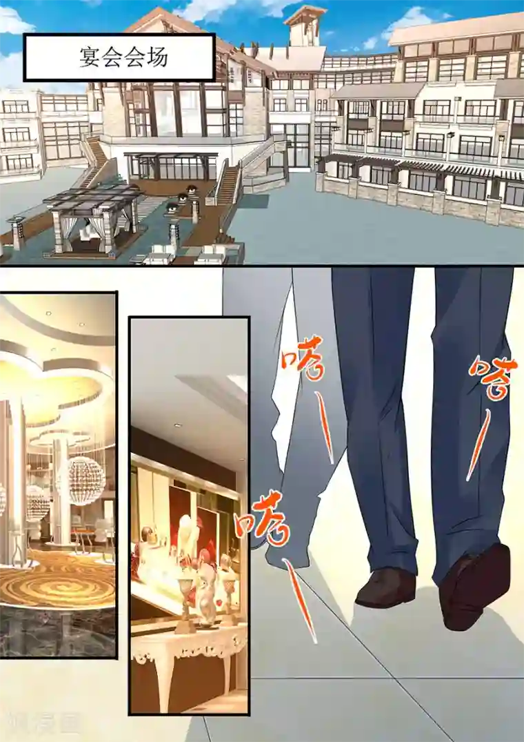 帝少的独宠计划第238话 她的作品我私人买下