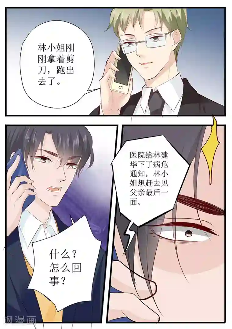 帝少的独宠计划第250话 以死相逼